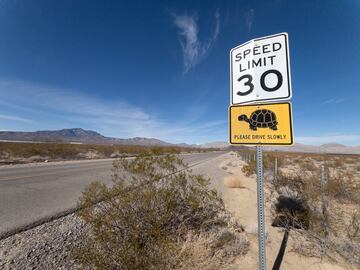 an Bernardino es una ciudad de California, hay se?ales de tr¨¢fico que advierten sobre el cruce de tortugas, especialmente en ¨¢reas donde estas criaturas son comunes. Al ver estas se?ales, los conductores deben reducir la velocidad y estar atentos, ya que las tortugas pueden cruzar en cualquier momento.