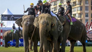 El exjugador de rugby de los New Zealand All Blacks Olo Brown participa en un partido del torneo de polo con elefantes Polo Kings Cup Elephant.
