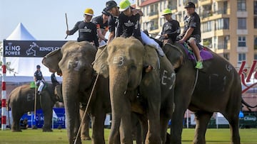 El exjugador de rugby de los New Zealand All Blacks Olo Brown participa en un partido del torneo de polo con elefantes Polo Kings Cup Elephant.