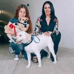 Promueven adopción de perros a las afueras del estadio Olímpico de CU