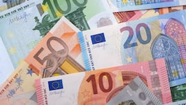 El país que pasará a tener euro en 2026