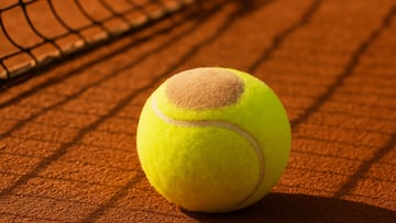 Bolas calvas en el BBVA Open Internacional Valencia