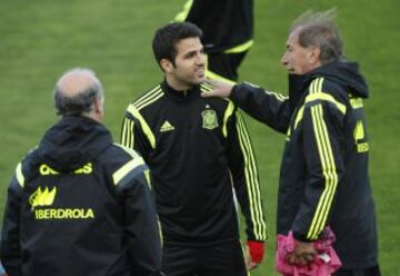 Cesc.