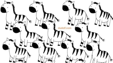 Reto visual: Encuentra a la zebra que es diferente a las demás