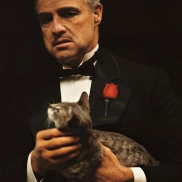 El gato de Vito Corleone (Marlon Brando) en ‘El padrino’ no estaba en el guion: Francis Ford Coppola lo añadió a última hora por esta razón