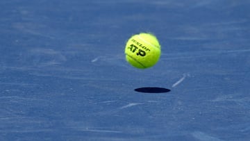 El entrenador neerlandés no podrá jugar, entrenar o asistir a cualquier evento tras la sanción confirmada por la Agencia Internacional de Integridad del Tenis.