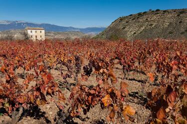Los mejores lugares para visitar la Rioja Alavesa