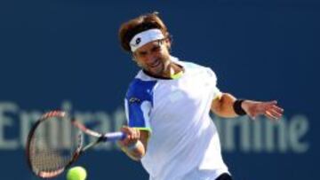 David Ferrer.