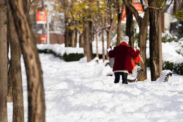 Así está Madrid tras la nevada histórica