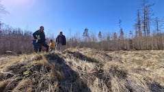 Arqueólogos investigan un montículo en una granja y descubren que esconde restos de hace 5.000 años