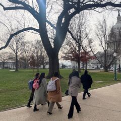 NCAA: Texas votes in favor of bill banning diversity