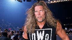 En la d&eacute;cada de los noventa, Nash form&oacute; parte de uno de los grupos m&aacute;s exitosos en la historia de la lucha libre y como miembro de WCW casi derroc&oacute; a la WWE.