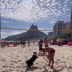 WATCH: Beach dog puts foot volley teammates to shame