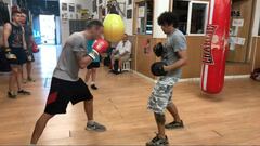 El caballo o ballesta en el boxeo