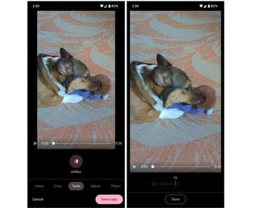 La impresionante app de cámara de Google va a subir de nivel con su próxima función