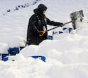 Aficionados buscan su lugar entre la nieve en el estadio de los Bills tras la nevada