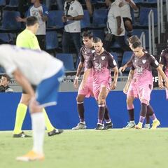 Aprobados y suspensos del Málaga: Guede no da con la tecla