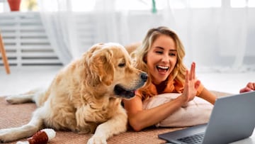 Qué significa que tu perro te siga a todas partes