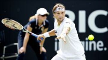 David Ferrer