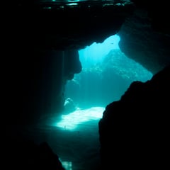 Científicos bajan a más de 9.000 m de profundidad y descubren un nuevo ecosistema en la zona más hostil: “Deben tener algún truco”