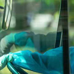 Mongolia decreta la cuarentena tras detectar peste bubónica