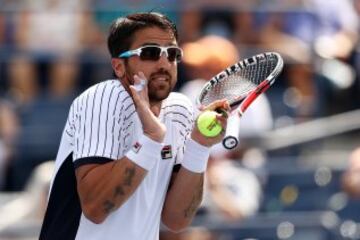 Janko Tipsarevic.