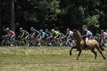 Un jinete cabalgando junto al pelotón de ciclistas durante la décimo etapa del Tour de Francia de 2017.