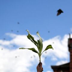 Semana Santa en Colombia: horarios del toque de queda en Viernes Santo y restricciones de hoy, 2 de abril