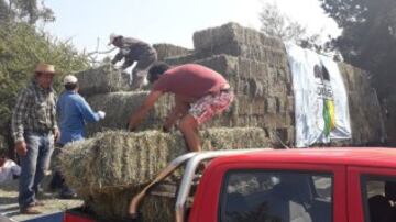 El elenco de Rancagua hizo su aporte con un camión lleno de forraje, destinado al ganado que sufrió la pérdida de todos sus aimentos donde el incendió pasó.