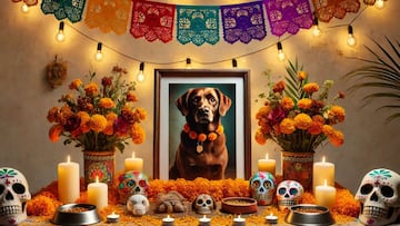 Esta es la fecha en la que se pone la ofrenda para las mascotas en Día de los Muertos