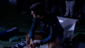 El enorme gesto de Djokovic al ver llorar a Del Potro