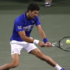 Intenso encuentro entre Djokovic y Fratangelo