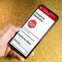 Bono Alimentario, Yanapay, 350 soles, Wanuchay... | Link y consultar con DNI quién cobra hoy, 14 de julio