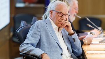 MADRID, SPAIN - MAY 08: The former vice-president of the Government Alfonso Guerra, during the presentation of the book 'Europa, ¿otoño o primavera?', at the headquarters of the European Commission in Spain, on May 8, 2023, in Madrid, Spain. This volume, in which several authors have participated, is published by the digital literary magazine Zenda with the sponsorship of Iberdrola. The book brings together fifteen views on the problems and challenges of the European Union and on the present and the immediate future of the continent.

 The book is a collection of fifteen perspectives on the problems and challenges of the European Union and on the present and immediate future of the continent. (Photo By Eduardo Parra/Europa Press via Getty Images)