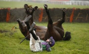 El jinete Tom O'Brien cae de su caballo 'Gala Ball' en la carrera de Exeter, Inglaterra.  