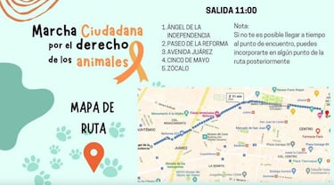 Marcha contra el maltrato animal en CDMX: fecha, calles cerradas y alternativas viales