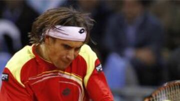 <b>David Ferrer</b>.