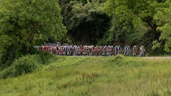 Giro de Italia, en directo: etapa 13 | Rovigo - Vicenza hoy, en vivo