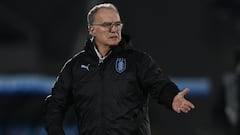 Uruguay's Argentine coach Marcelo Bielsa gestures during the friendly football match between Uruguay and Cuba, at the Centenario stadium in Montevideo, on June 20, 2023. (Photo by Pablo PORCIUNCULA / AFP)