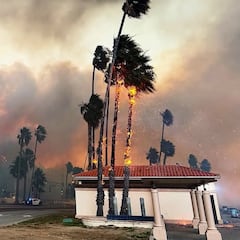 Un surfista comparte imágenes apocalípticas de los incendios de LA