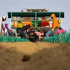 Automatic work permit extension for immigrants: who benefits and for how long?