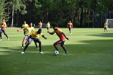 La Selección Colombia está a la espera de la confirmación de otro partido amistoso para la próxima semana, posiblemente ante Grecia, antes de viajar a Rusia.