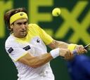 David Ferrer, a segunda ronda tras una hora de interrupción