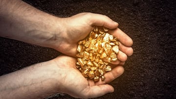 Encuentra una mina de oro en su jardín y el Estado le confisca el hallazgo: “Todo lo que hay bajo tierra es su propiedad”