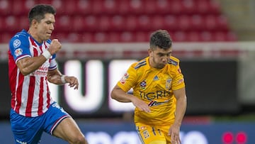 Leo Fern&aacute;ndez, Tigres