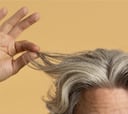 Una experta avisa de lo que sucede por arrancar una cana: “No es aconsejable”
