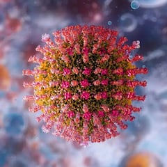 Alerta epidemiológica: México es el país con más contagios de sarampión en América, confirma la OPS