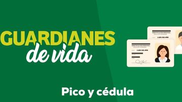 Pico y Cédula en Cali: rotaciones, medidas, restricciones y cómo funcionará