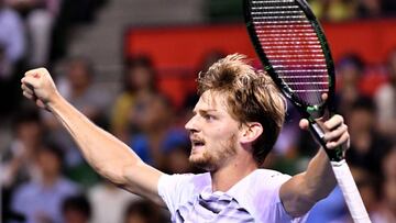 Goffin y Kyrgios definirán el título en el ATP de Tokio