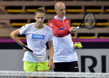 Czechs look to extend winning run in Fed Cup against France